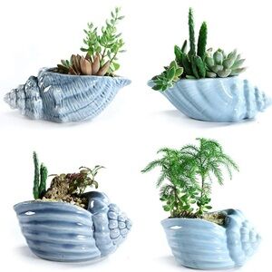 Blue Conch Ceramic Succulent Planters